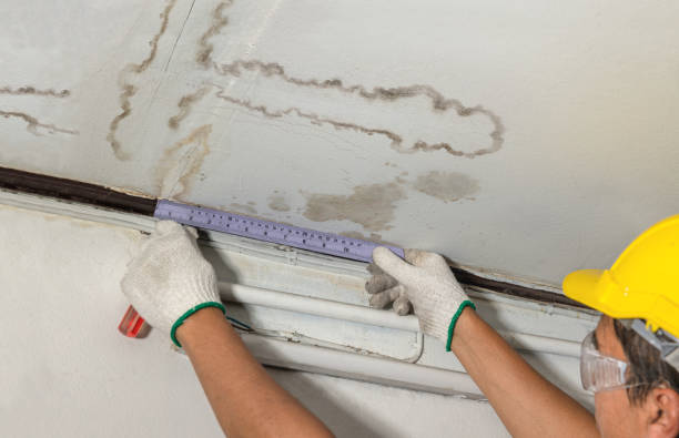 24/7 Emergency Structural Drying experts in Free Soil, MI