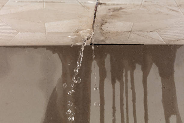 Professional Structural Drying technician working in Free Soil, MI
